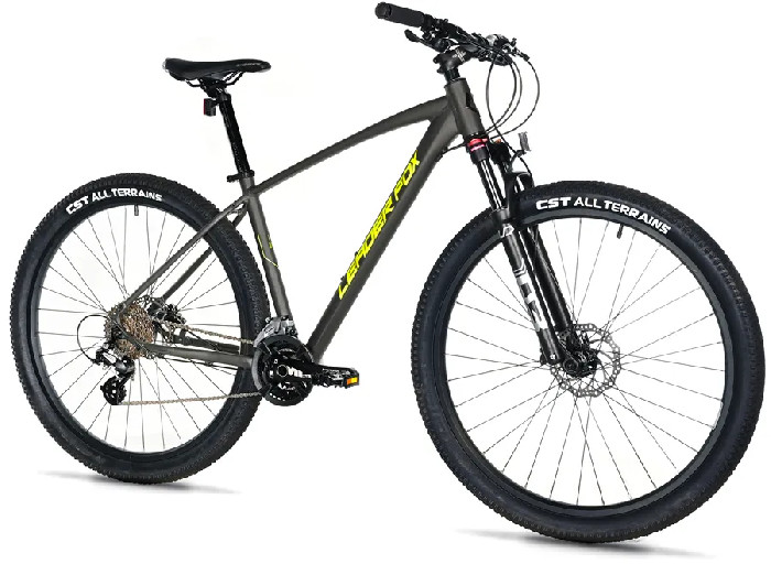 EVOLUTION 29